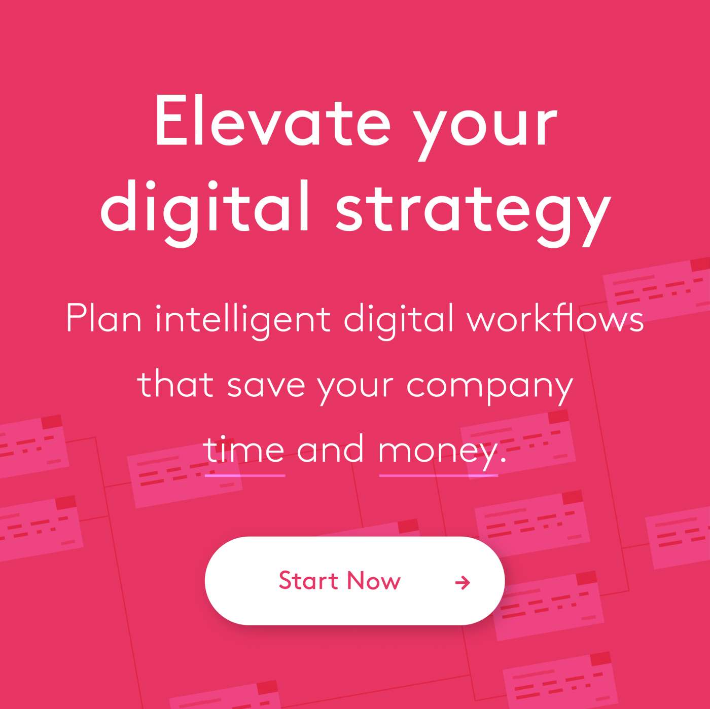 Elevate Your Digital Strategy