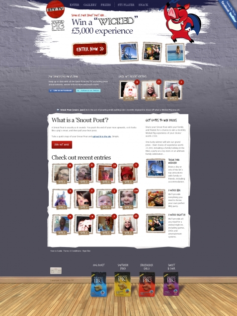 Screenshot of the Facebook & Twitter Campaign Success website
