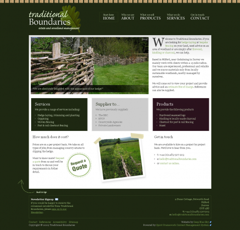 Screenshot of the Web Design & SEO for Surrey Business website