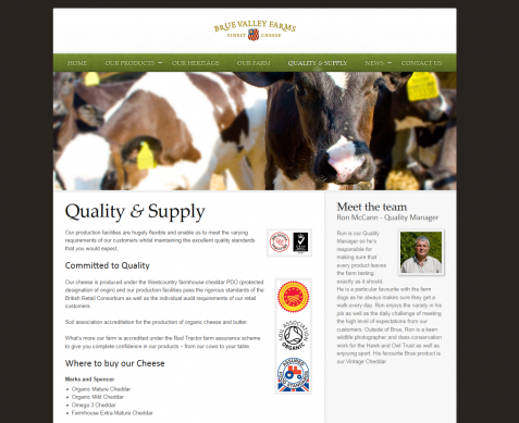 Screenshot of the Beautiful Web Design website